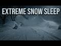 Extreme Blizzard Sounds for Sleep | 10 Hours Snowstorm & Howling Wind | White Noise Winter Storm