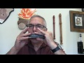 Ken Leiboff plays 6 high $ Chromatic Harmonicas