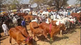 kamkole angadi // ramesh vlogs