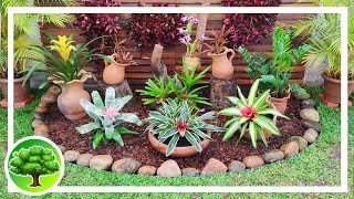 Beautiful tropical bromeliad garden / Garden decor 38