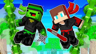 Mikey and JJ Became Ninja Assassins Challenge  Minecraft Maizen