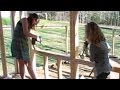 How To Build A Chicken Coop pt 9 - Putting up wall sheathing How To Build A Chicken Coop pt 9 - Putting up wall sheathing