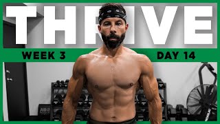 THRIVE Dumbbell Training Plan - DAY 14 (FULL BODY WORKOUT)