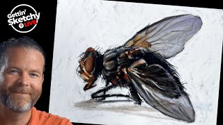 Live Drawing - Fly with Pastels