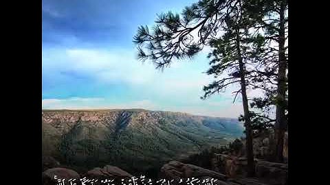 القارئ يوسف السعيد /سورة النساء💖🌸
