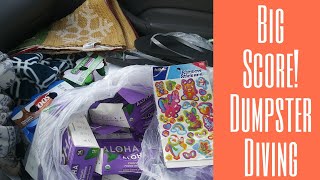 Nice Score Dumpster Diving at CVS and Dollar General $$$