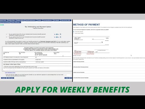 Unemployment Benefits Maine and Montana ($900/Week or $18,000) How To Apply