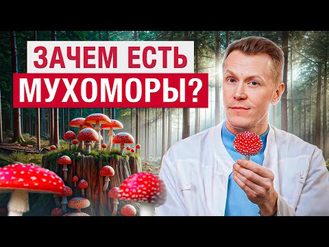 КОВАРНЫЕ грибочки или ВОЛШЕБНОЕ средство от ВСЕХ БОЛЕЗНЕЙ? / Зачем люди едят МУХОМОРЫ?