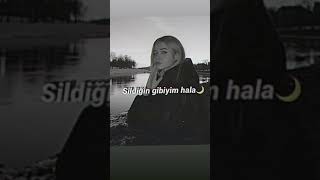 Alıştım Artık Yalnızlığa