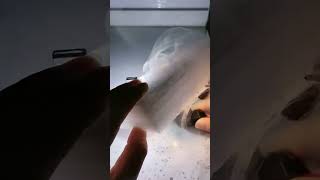 Temperature Test Between Led Headlight Bulb And The Halogen Bulb