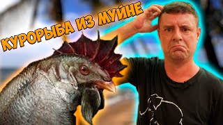 Фудкорт на пляже! Обзор Pit Stop!