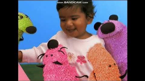 Trailers from Max & Ruby: Springtime for Max & Ruby (2005) (2013 Reprint) DVD