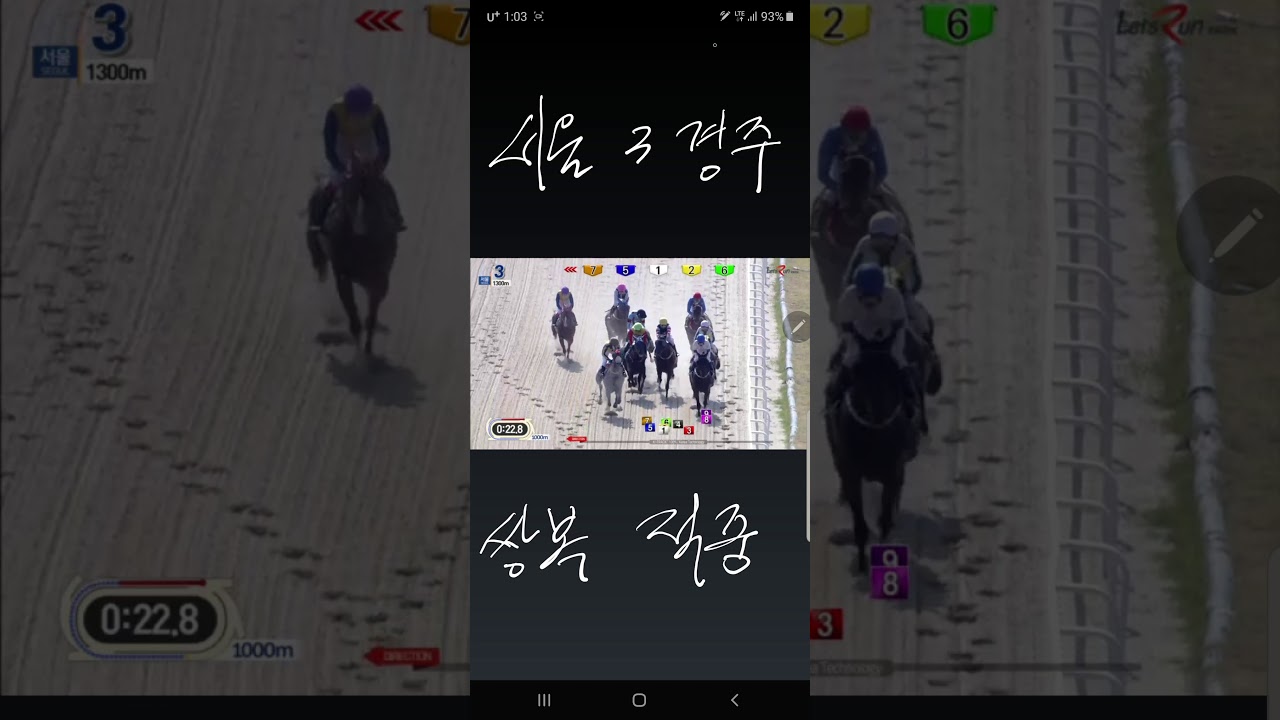 10월19일 3경주 29,3배 적중