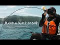魚のやる気が上がる時
