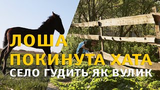 Лоша. Покинута хата.