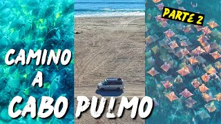 RESERVA NATURAL CABO PULMO / Camino Cabo Este / Carretera Transpeninsular PARTE 2