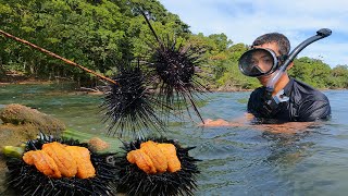 Will Sea Urchin Spine Sting on me? Eating Live Sea Urchin
