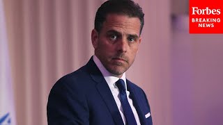'Let Me Set The Record Straight...': Hunter Biden, Slammed By Republicans, Is Defended By Dem