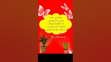 سورة (الأنفال) 24 بصوت القارئ : أبو عبدالله #القرآن_الكريم