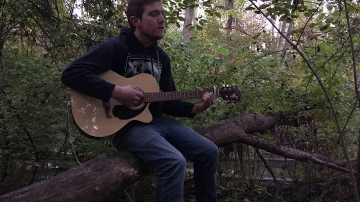 Homeward Bound (cover) - Scott Sherer