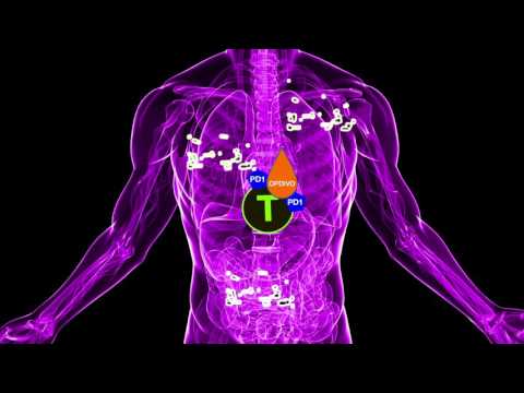 Opdivo (nivolumab) the Immunotherapy Cancer Treatment
