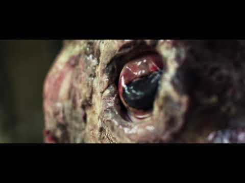 Qhapaq Ñan: Desandando El Camino (Unwinding the Road with Gustavo Santaolalla) - Trailer 2