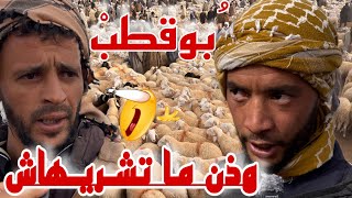 سوق بوقطب في حالة إرتباك لهذا الأسبوع و تجار  الجملة في صدمة كبيرة# أرقام و أسعار جديدة البيض 🇩🇿