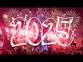 Disneyland Paris - New Year Fireworks 2024/2025 ✨