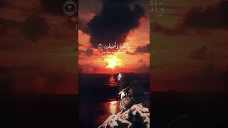 Surah Nuh (1-4) - Deep and Powerful Recitation by Sayfullah Ash-Shishani | Call to Forgiveness