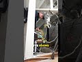 Your HVAC Air Filter Might Be In Backwards