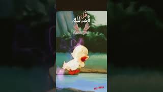 #belgique #shortvideo #الجالية_المغربية #viralshort #europe #morocco #الحمدلله