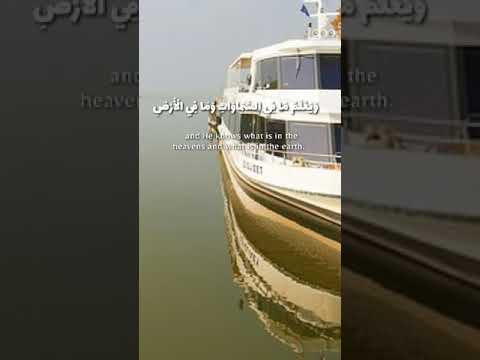 إسلام صبحي قل إن تخفوا ما في صدوركم أو تبدوه يعلمه الله Quran قرآن تلاوة Holy Shorts Telawat