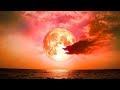 Relaxing Sleep Music 24/7, Healing Music, Calming Music, Sleep, Insomnia, Spa, Sleep Meditation, Zen