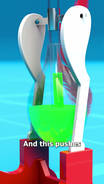 How The Drinking Bird Works 🤔
