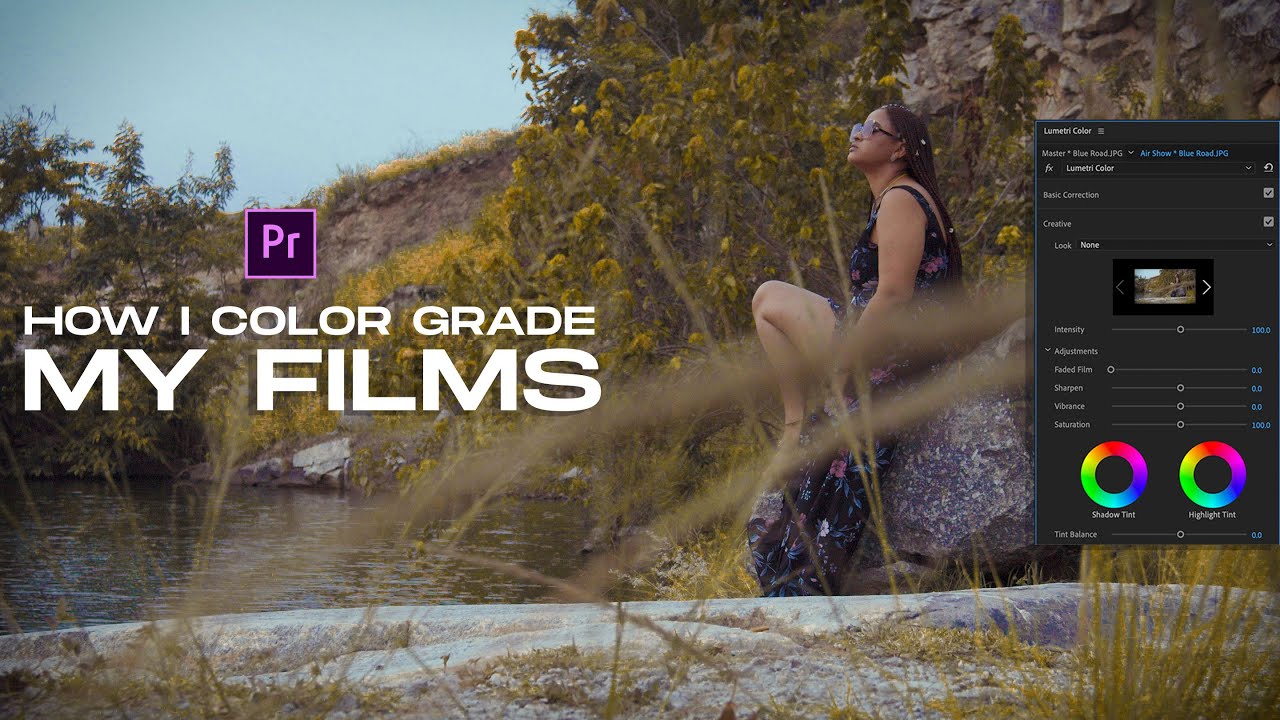 premiere pro free cinema grade luts