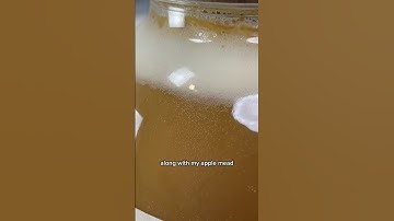 WHY IS MY MEAD NOT FERMENTING?