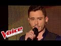 Starmania  le blues du businessman  maximilien philippe  the voice france 2014  demifinale