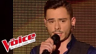 The Voice 2014│Maximilien Philippe - Le Blues du businessman (Claude Dubois)│Demi Finale