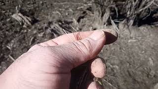 Beaver Lake between Grandin and Stringtown Missouri. 20220123 141219