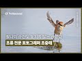 800mm 초망원 시대의 시작 | 조중래 X SEL400800G | Sony α Professional│알파 프로페셔널