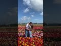 Sweet memory from the tulip fields 💕 #amsterdam #netherlands #tulip #tulips #tulipfields #couple