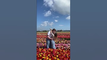 Thumbnail of Sweet memory from the tulip fields 💕 #amsterdam #netherlands #tulip #tulips #tulipfields #couple