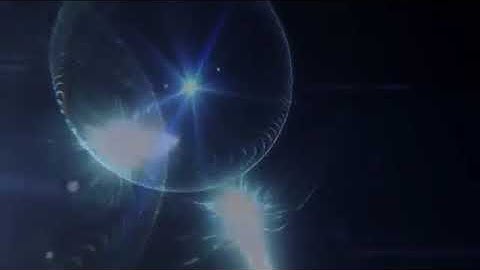 AMAZING MIGHTYYYY!!!!PV