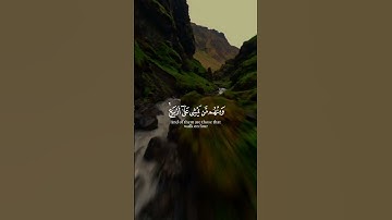 تلاوة خلابه للشيخ خالد الجليل #تلاوات #تلاوة_خاشعة #القرآن_الكريم #قرآن