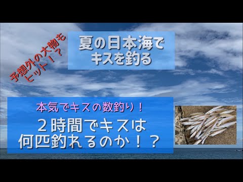 夏の日本海でキスを釣る ２時間でキスは何匹釣れるのか Youtube