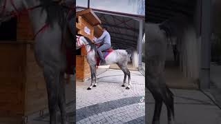 Deli̇ Arap Ati