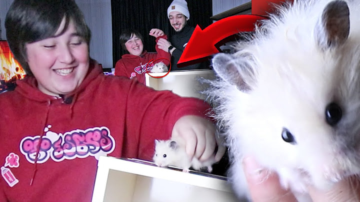 რა დევს ყუთში CHALLANGE!!! ft. @datunakalichava