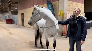 Walking through the Mustang Magic Barns! by The Project Equestrian 5,047 views 3 months ago 4 minutes, 57 seconds