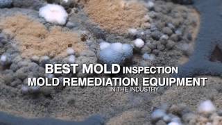 Mold Certification Training, Mold Inspection