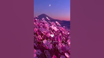 آية الكرسي 🌹بصوت جميل جدا🤲🔋 #shortvideo #قرآن #سورة_البقرة